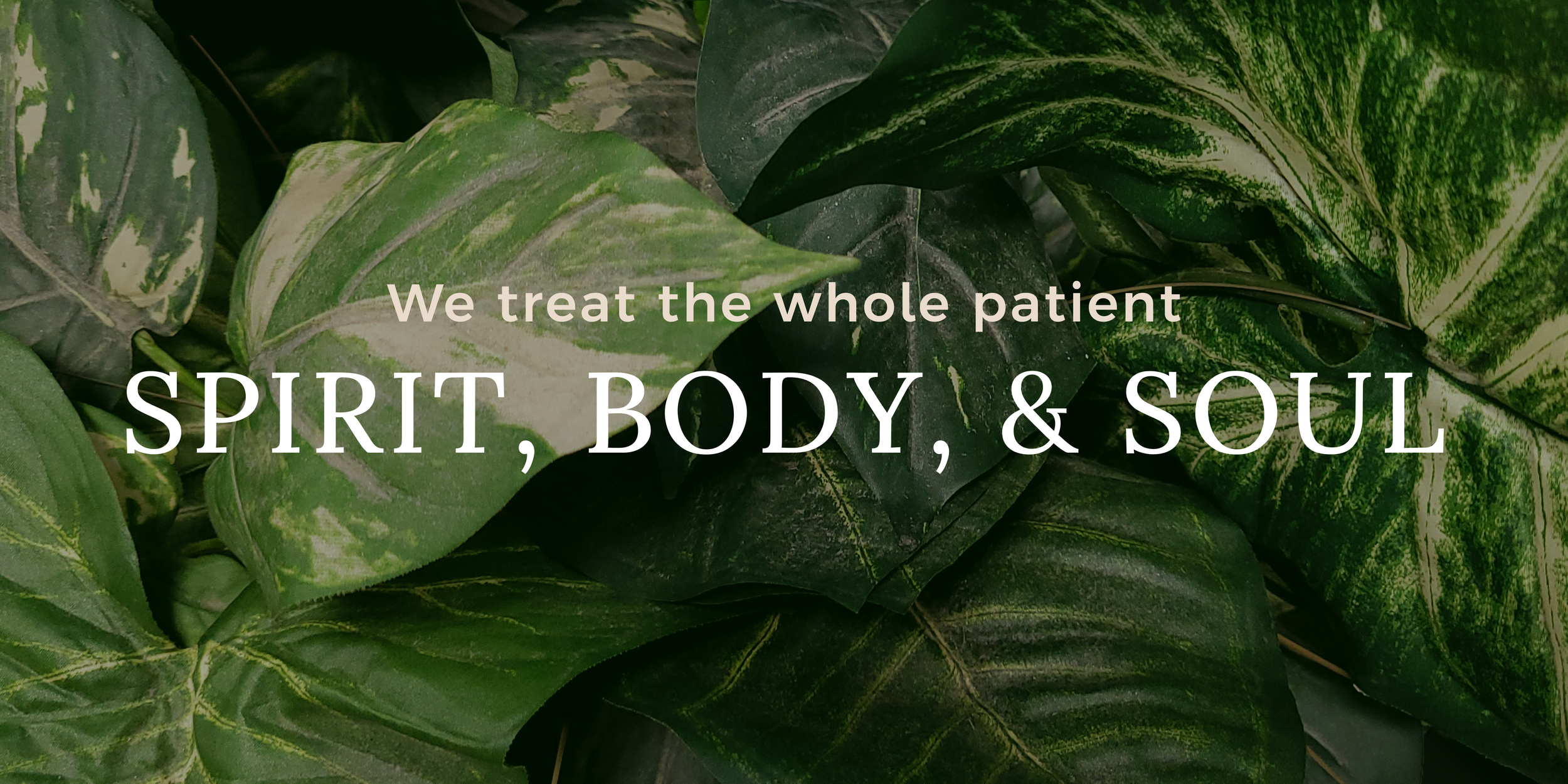 Affordable family healthcare clinic – smiling physician with patient